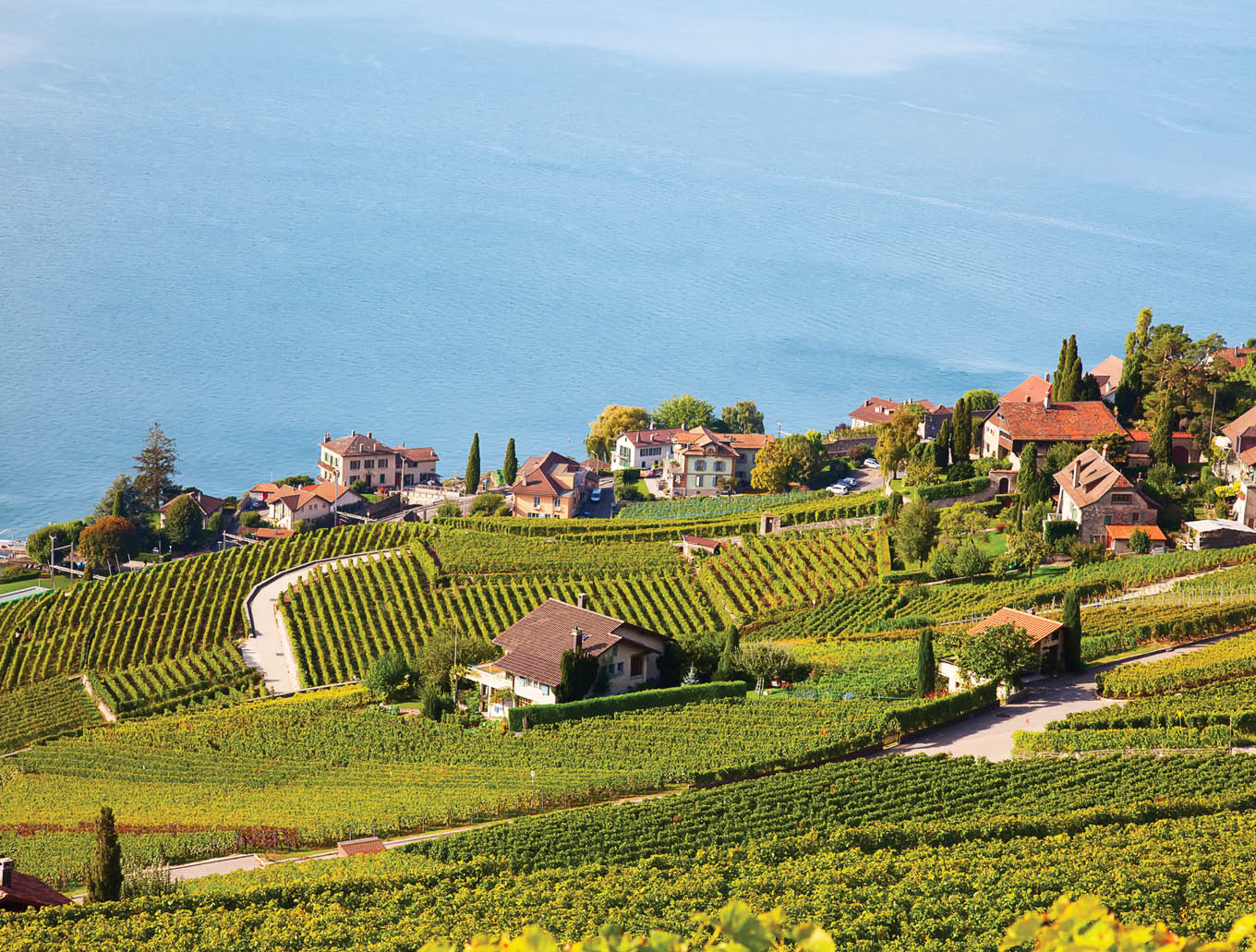 Vineyards of the Lavaux region over lake Leman (lake of Geneva)